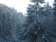 2016-12-19 13.12.21 Drive to Berchtesgaden