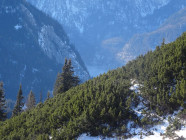 2016-12-20 11.48.47 Berchtesgaden