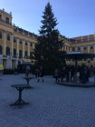 2016-11-29 13.02.36 Vienna
