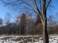 2016-12-19 12.45.27 Drive to Berchtesgaden