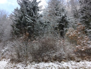 2016-12-19 11.35.34 Drive to Berchtesgaden