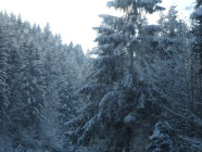 2016-12-19 13.12.21 Drive to Berchtesgaden
