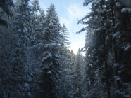 2016-12-19 13.13.35 Drive to Berchtesgaden
