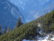 2016-12-20 11.48.47 Berchtesgaden