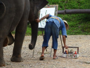 2017-06-09 14.19.28 Chiang Mai Elephant Park