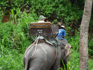 2017-06-09 14.48.40 Chiang Mai Elephant Park
