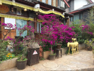 2017-06-01 15.52.02 Lijiang