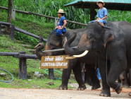 2017-06-09 14.00.10 Chiang Mai Elephant Park