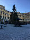 2016-11-29 13.00.27 Vienna