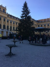 2016-11-29 13.02.36 Vienna