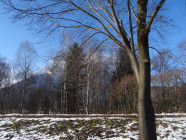 2016-12-19 12.45.27 Drive to Berchtesgaden