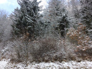 2016-12-19 11.35.34 Drive to Berchtesgaden